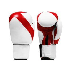 Boxing Glove